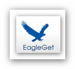 EagleGet 1.1.0.7 Final (2013) Русский присутствует