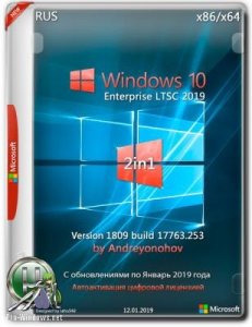 Windows 10 Enterprise LTSC 2019 17763.253 Version 1809 [2in1] DVD by Andreyonohov (x86-x64)