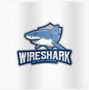 Wireshark 4.2.0 (2023) PC | + Portable