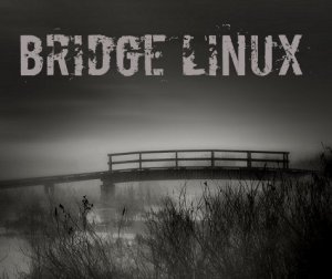 Bridge Linux 2014.01 (Arch + KDE, Xfce) [i686, x86-64] 4xDVD