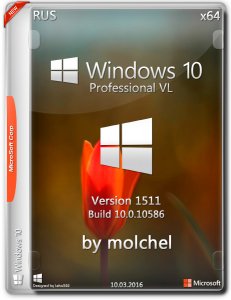 Windows 10 ProVL v1511 100316 by molchel (x64) (2016) [Rus]