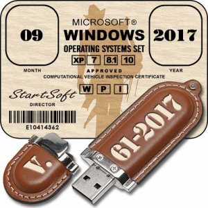 USB-boot Flash Plus MinstAll by StartSoft 61-2017 Full [Ru]