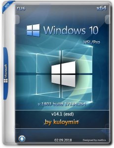 Windows 10 HSL/Pro 1803 x64 by kuloymin v14.1 (esd) [Ru]