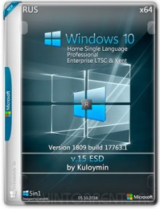 Windows 10 PRO/HSL/LTSC & Kent (x64) 1809 by kuloymin v15 (esd) Русский