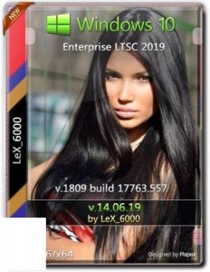 Windows 10 Enterprise LTSC 2019 v1809 (x86/x64) by LeX_6000 [14.06.2019]
