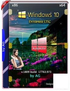 Windows 10 Enterprise LTSC WPI by AG 01.2020 [17763.973]