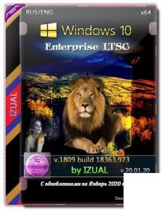 Windows 10 Enterprise LTSC v.18363.973 IZUAL (x64)
