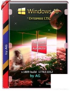 Windows 10 Enterprise LTSC WPI by AG 01.2020 [17763.1012] (x86-x64)