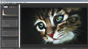 графический редактор- Astra Image PLUS 5.5.8.0 (2020) PC
