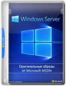 Windows Server 2019 LTSC Version 1809 Build 17763.1817 (Updated March 2021) Оригинальные образы от Microsoft MSDN [Ru/En]