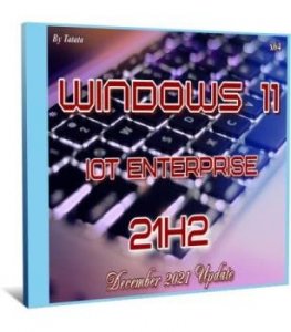 Windows 11 IoT Enterprise 22000.348 by Tatata (x64)