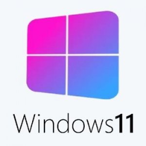 Windows 11 Корпоративная x64 21Н2 (build 10.0.22000.493) by tsd-soft 05.03.2022