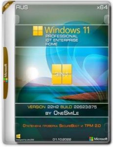 Windows 11 22H2 x64 Rus by OneSmiLe [22623.875]