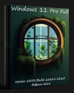 Windows 11 Pro 22H2 22621.1265 Full February 2023 by WebUser
